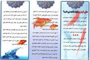 هشدار بهداشتی ماهی قرمز